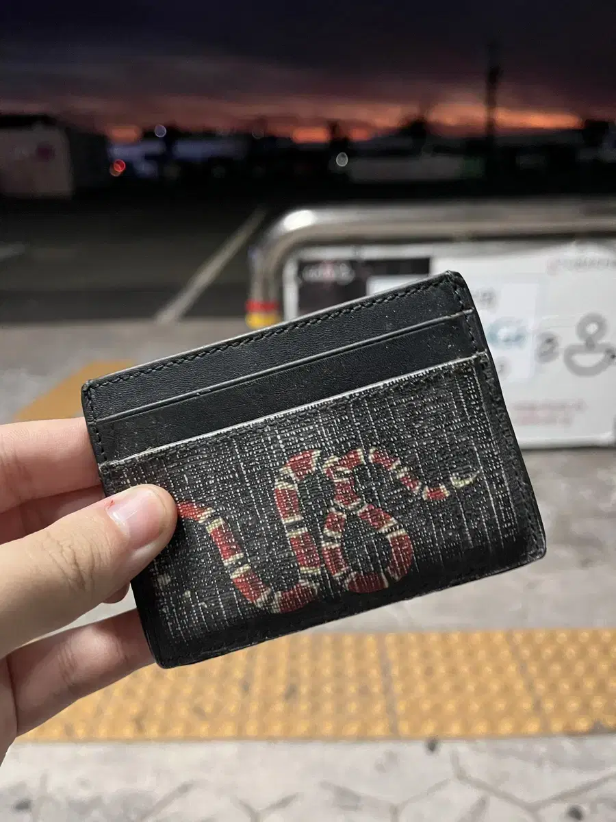 Gucci Snake Kard Wallet for sale