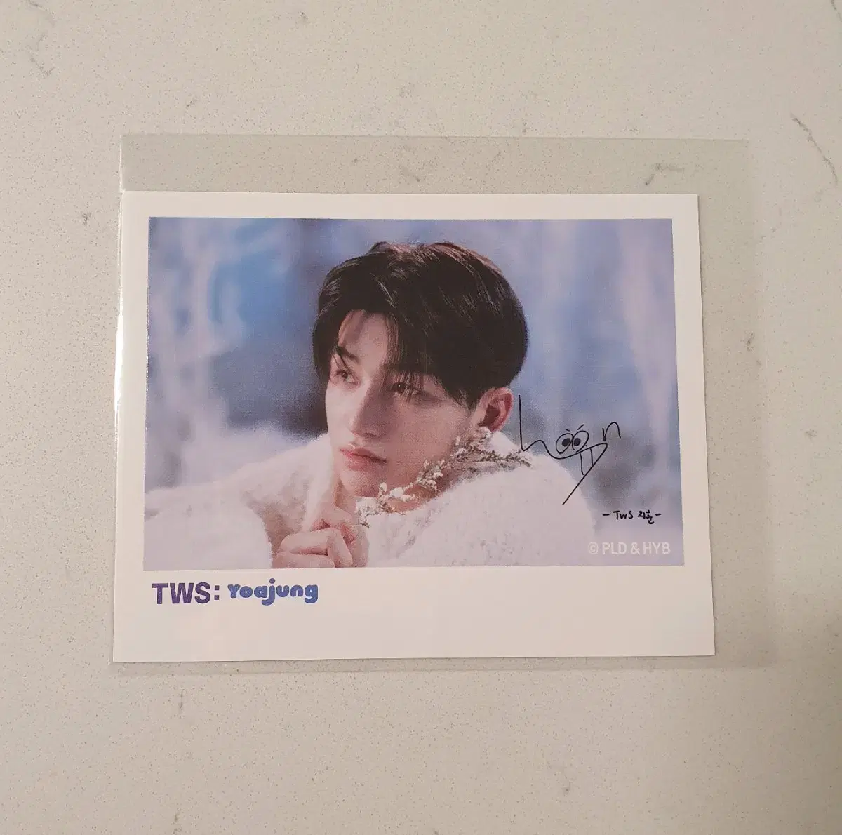 Yoahjung TWS jihoon polaroid