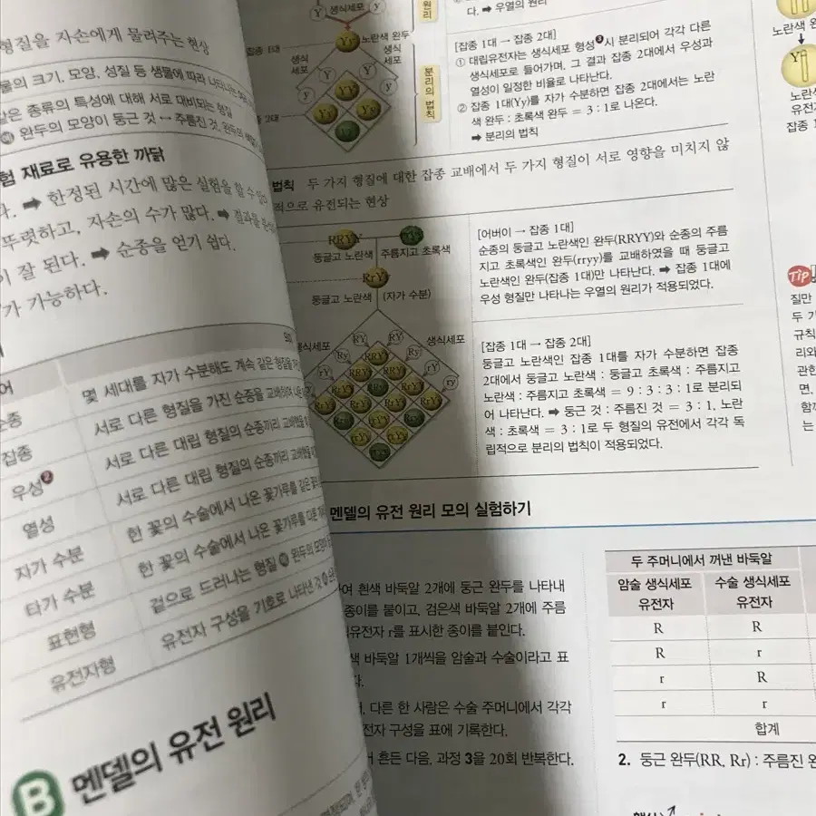 (새책)동아출판 중3 과학 평가문제집