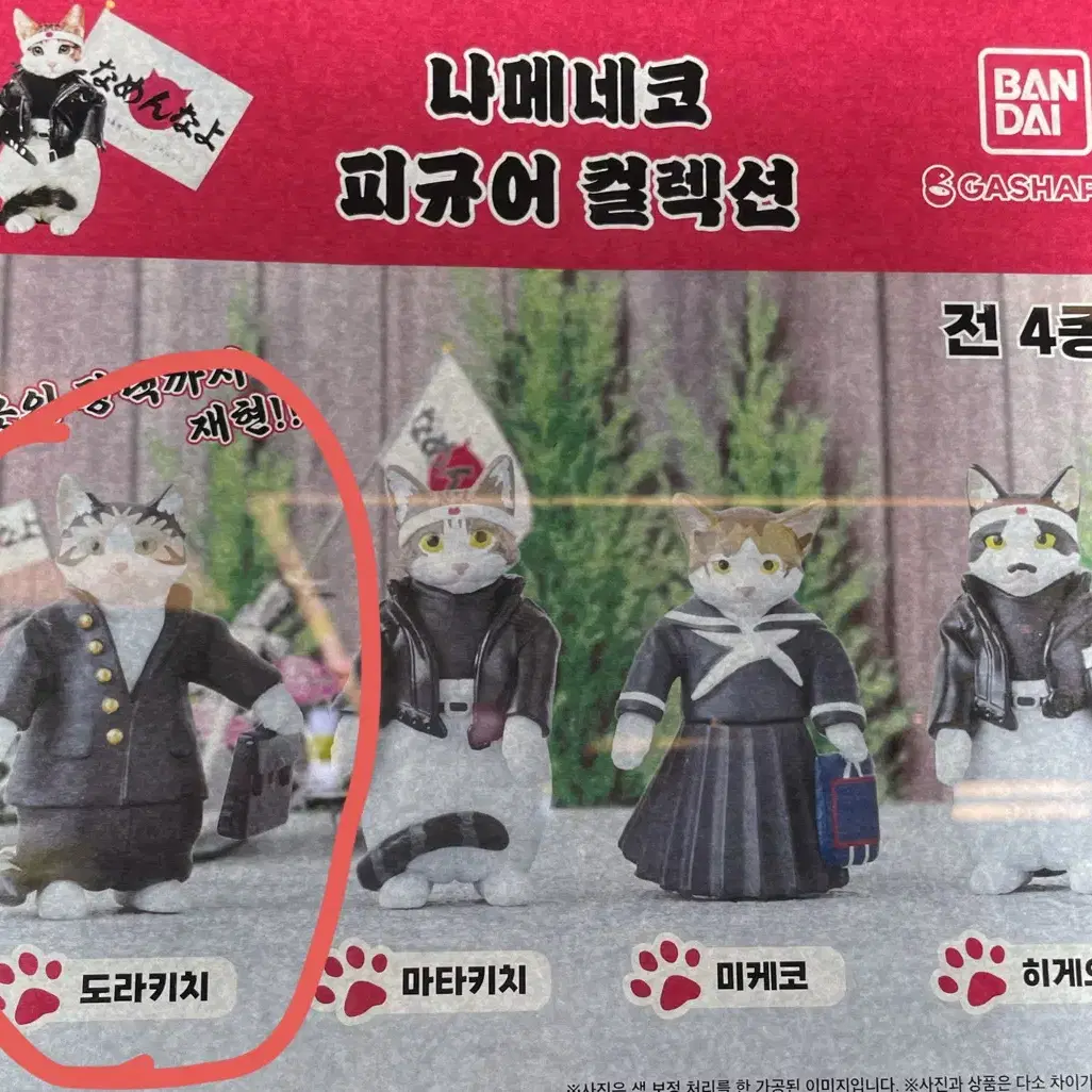 나메네코 피규어 도라키치 구매원해요