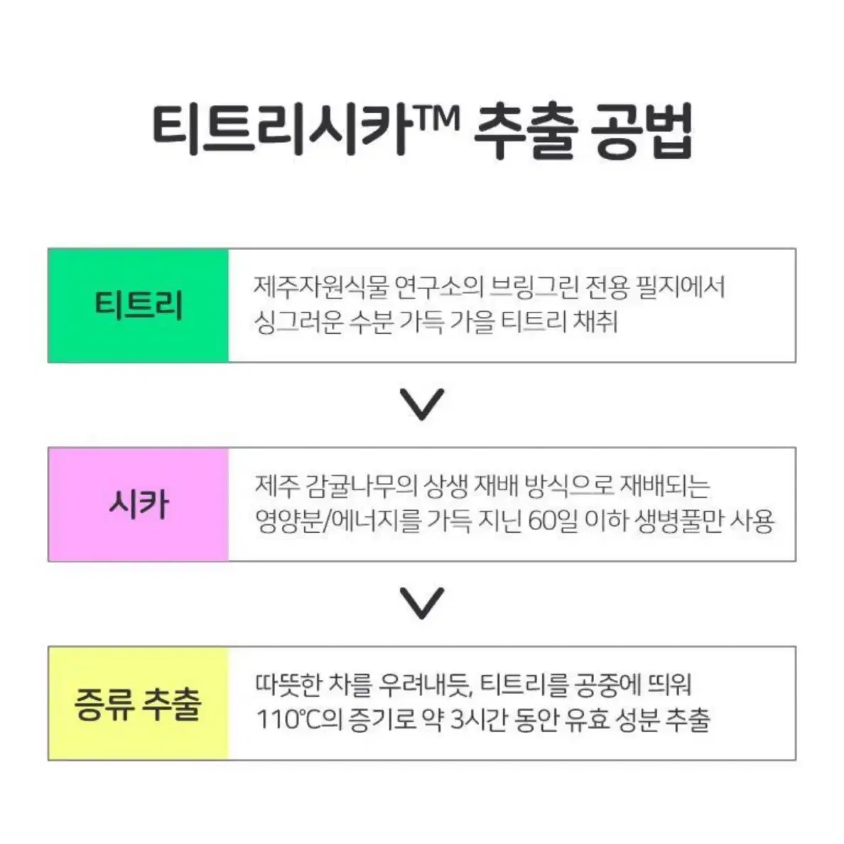 브링그린 티트리 시카 클렌징폼