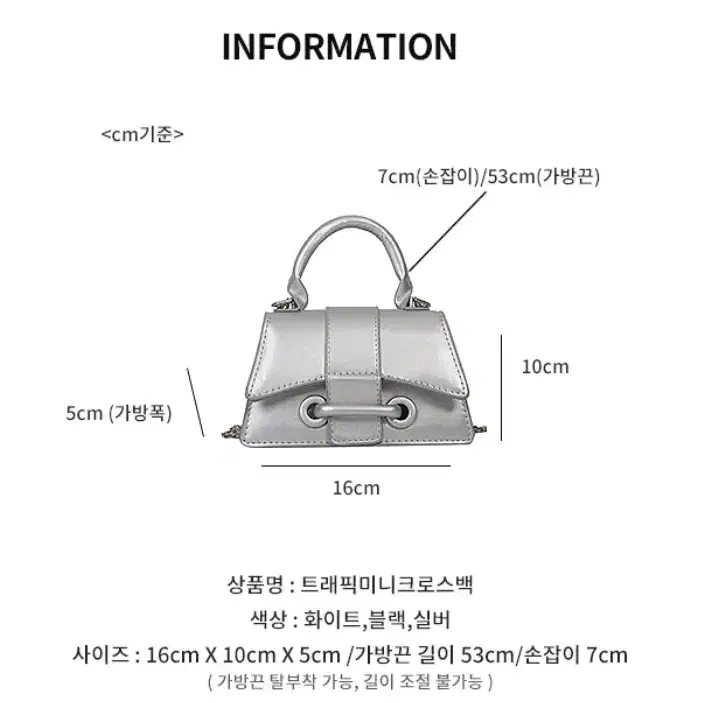 미니 실버백