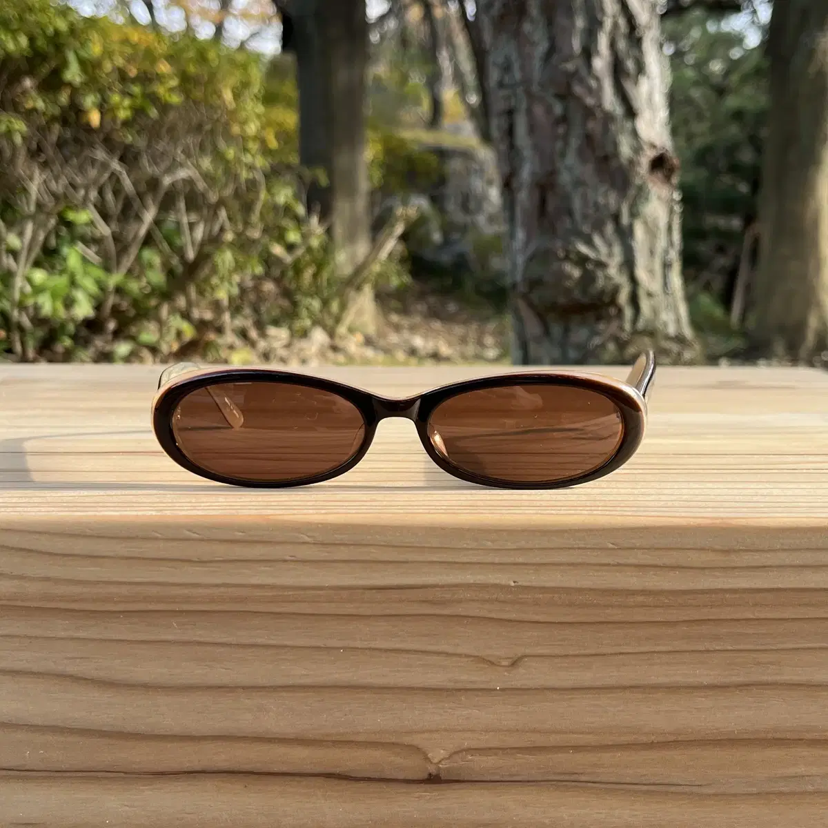 Eagle Eyes 90's Sunglasses ( 일본제 )