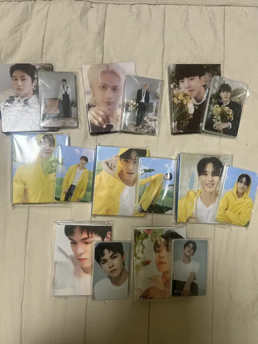 세븐틴 탐탐이 뿌들레 봉봉이 캐럿반 바인더 정한 에스쿱스 디