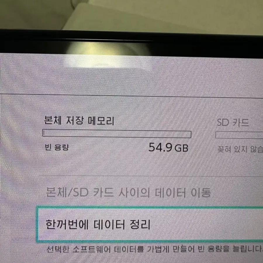 닌텐도 스위치 oled 포켓몬 에디션 팔아요 + 칩도 팔아요