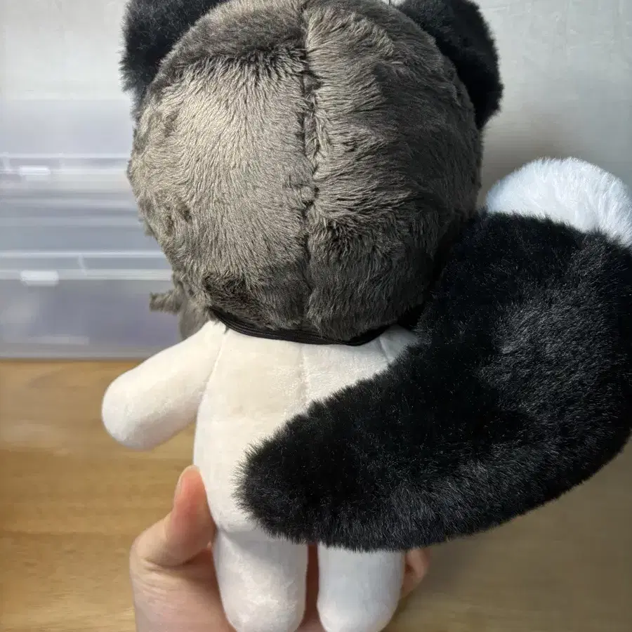 앙상블 스타즈 체리콕 레이 20cm 인형