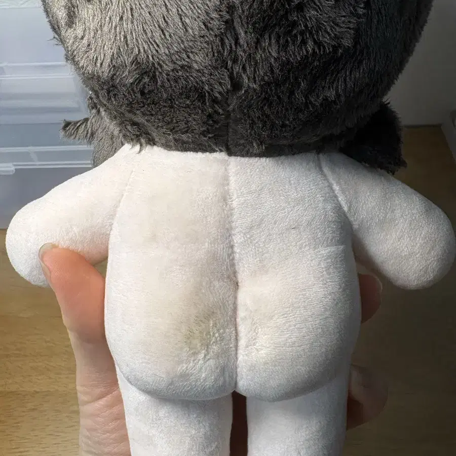 앙상블 스타즈 체리콕 레이 20cm 인형