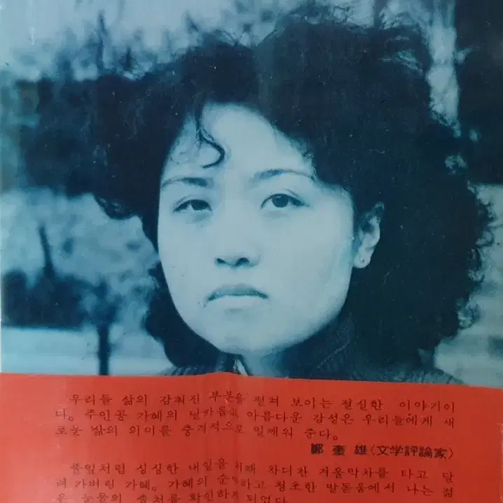 1979년 초판 노은 작가의 키 작은 코스모스