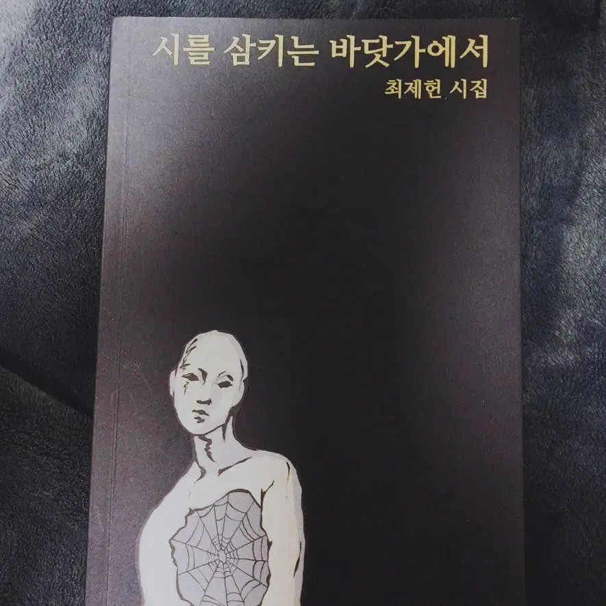 최제헌 시를 삼키는 바닷가에서 시집 초판본