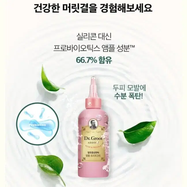 반값택배천원) 닥터그루트 샴푸, 앰플트리트먼트 각100ml