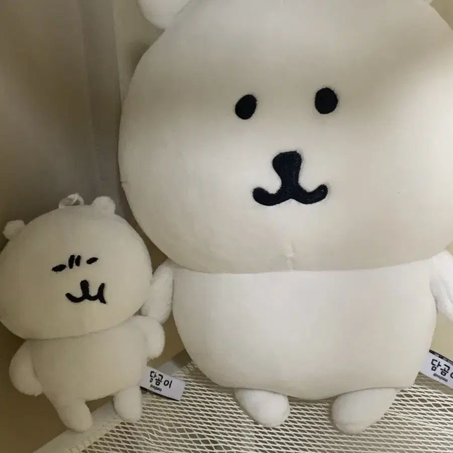 농담곰 인형 일괄