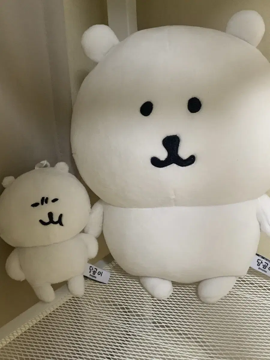 농담곰 인형 일괄