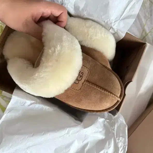 UGG 어그