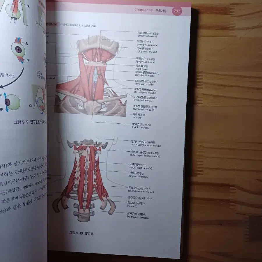 인체구조와기능 세트 의학교육 ((워크북 증정