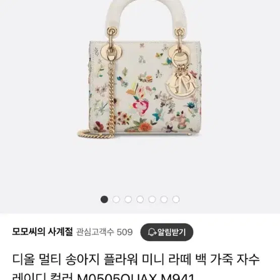 디올레이디백스몰