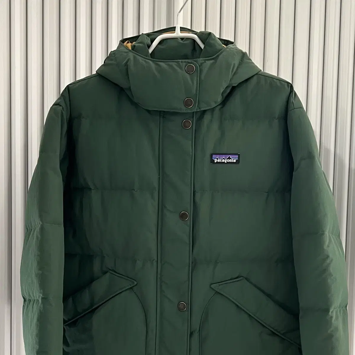 Patagonia puffer