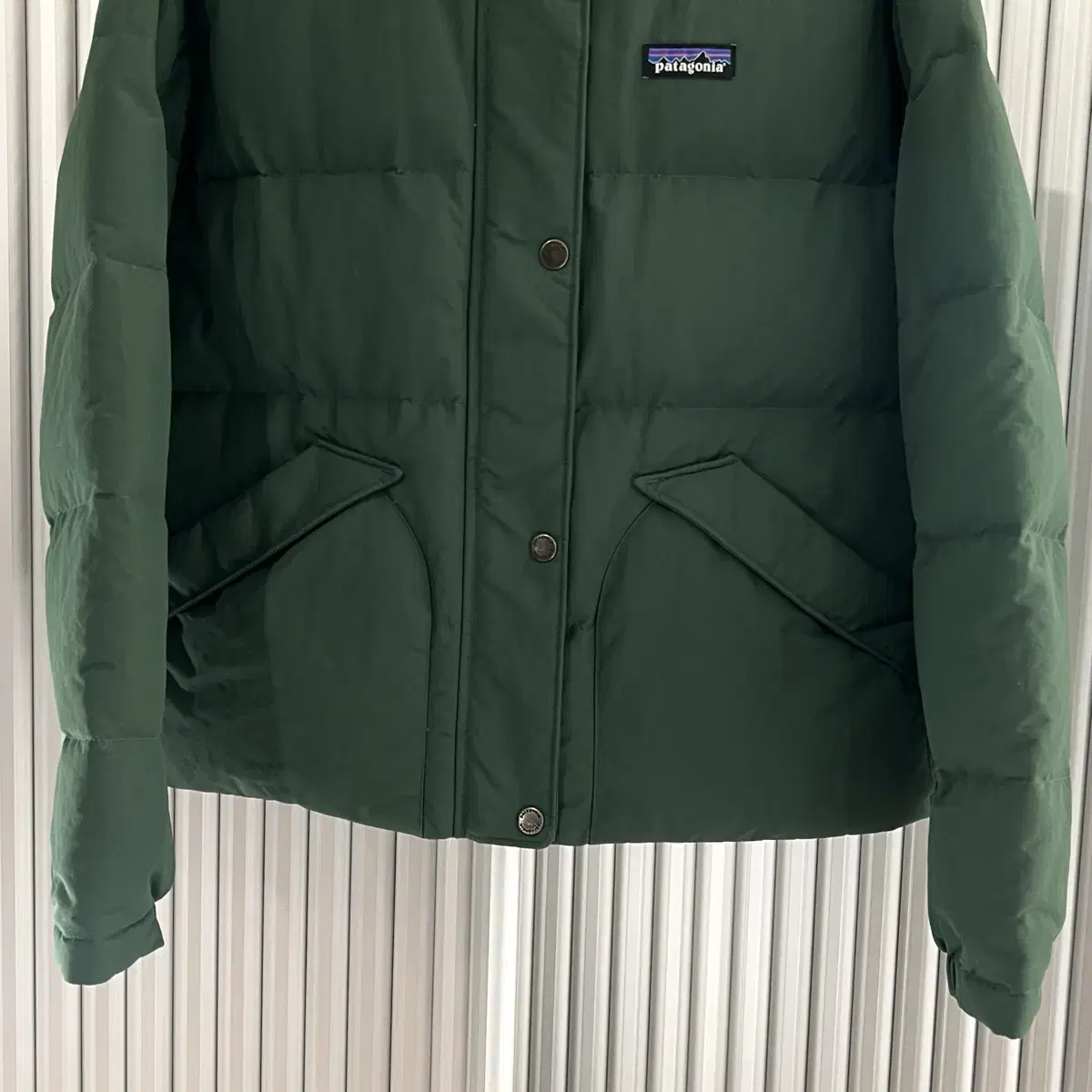 Patagonia puffer