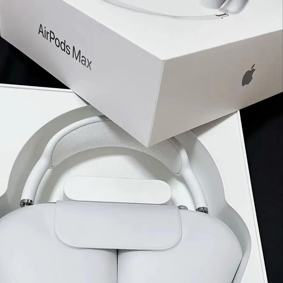 APPLE AIRPODS MAX 아이폰 에어팟 다크스카이 그레이