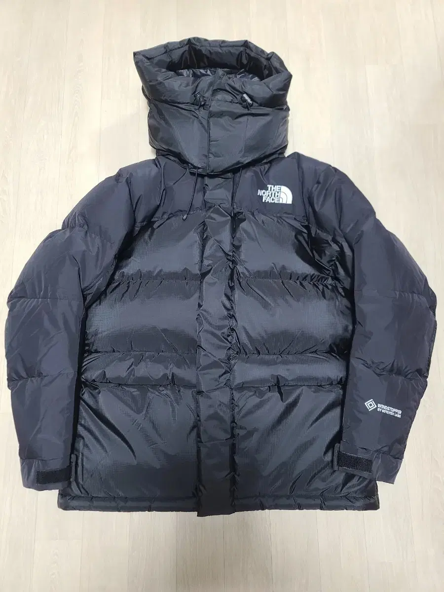 The North Face NJ1DQ53A Men's 1994 Retro Power Down Parka Black L