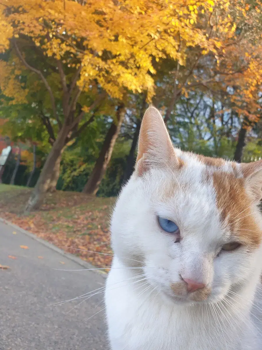 괴담출근 브라운 인형