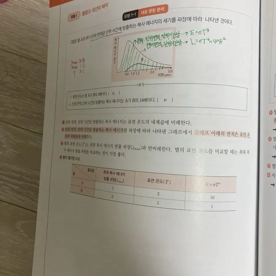 2025 엄피셜 자료분석 지1