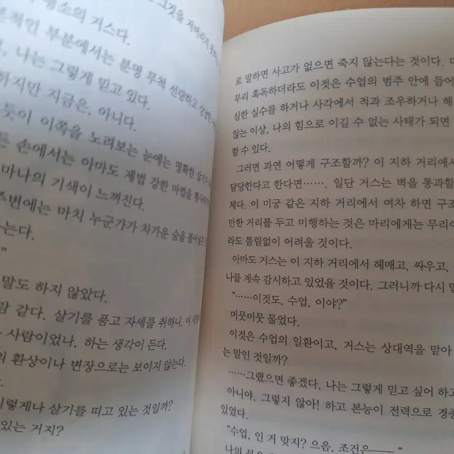 변경의 팔라딘4군