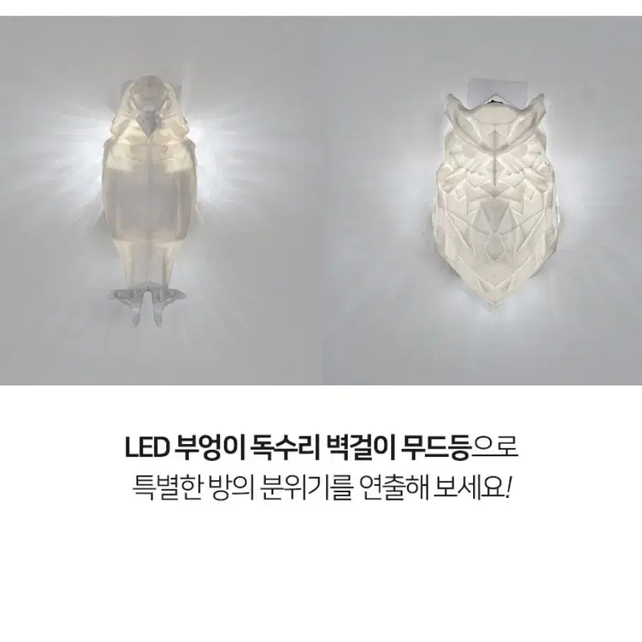 LED 독수리 부엉이 무드등 3D 벽등 인테리어 조명 벽걸이 램프