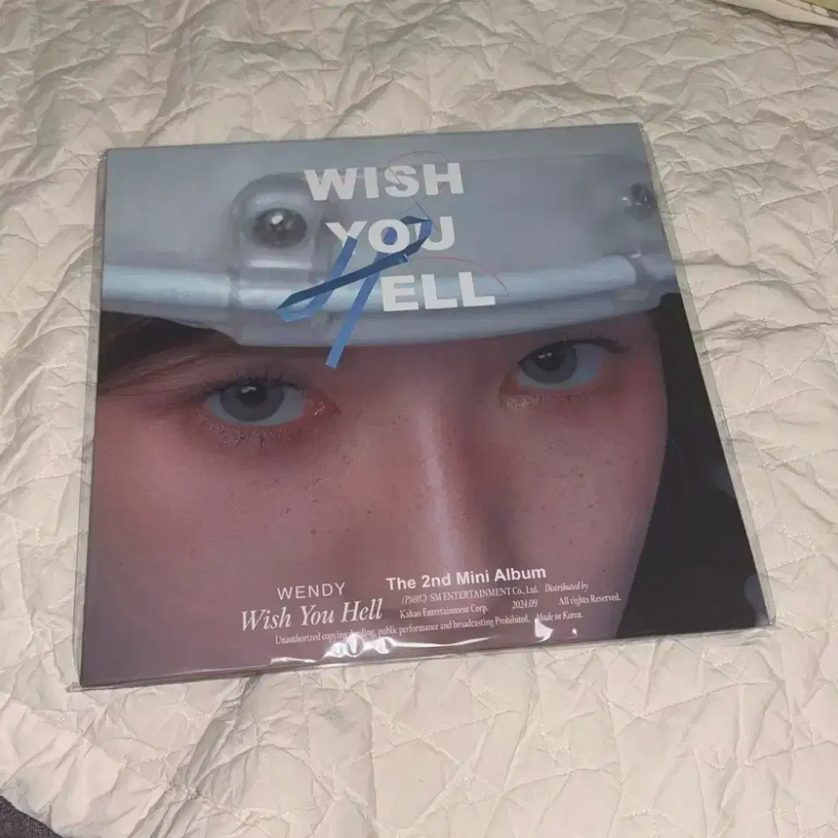 웬디 Wish you hell lp 미개봉