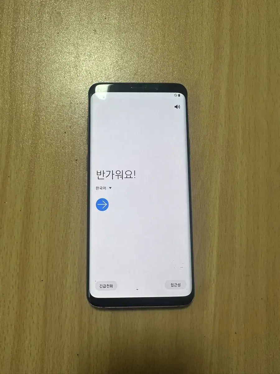 갤럭시 S9 +