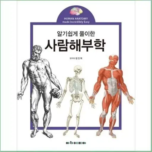 사람해부학 택포