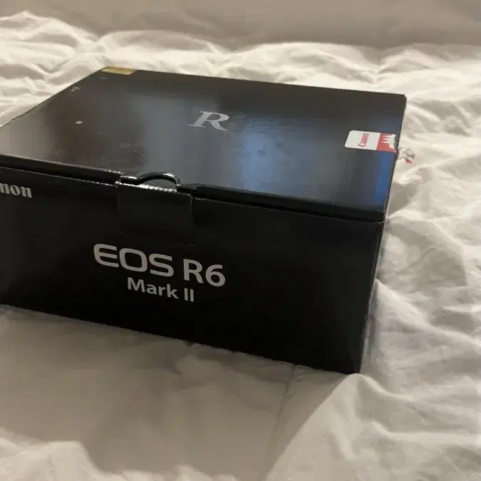 Canon R6 mark 2