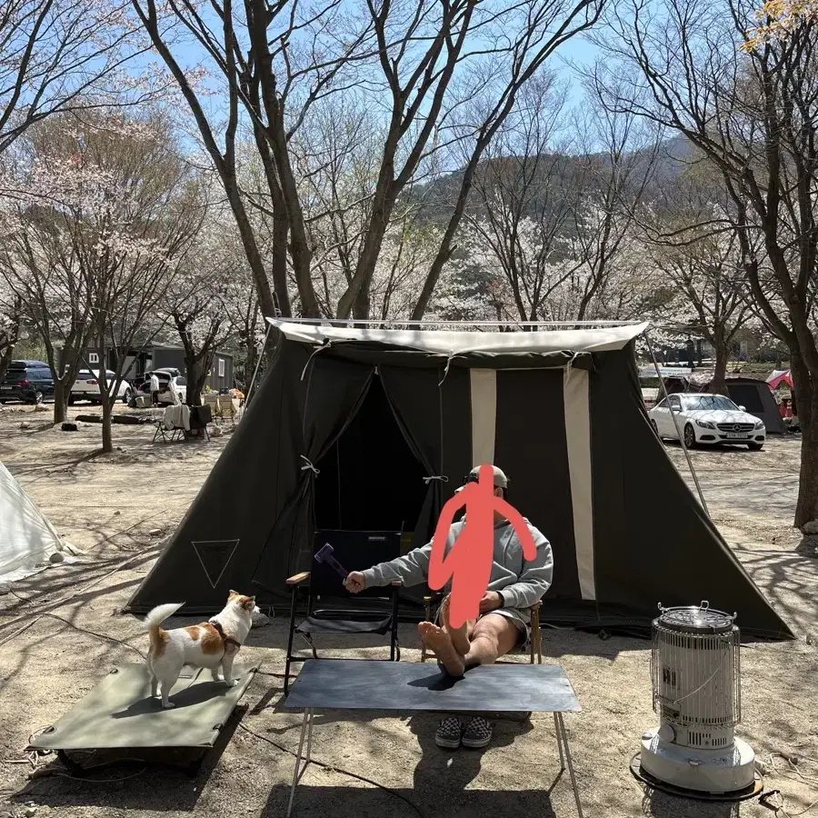 커크헴 스프링바 패밀리캠퍼 바이슨