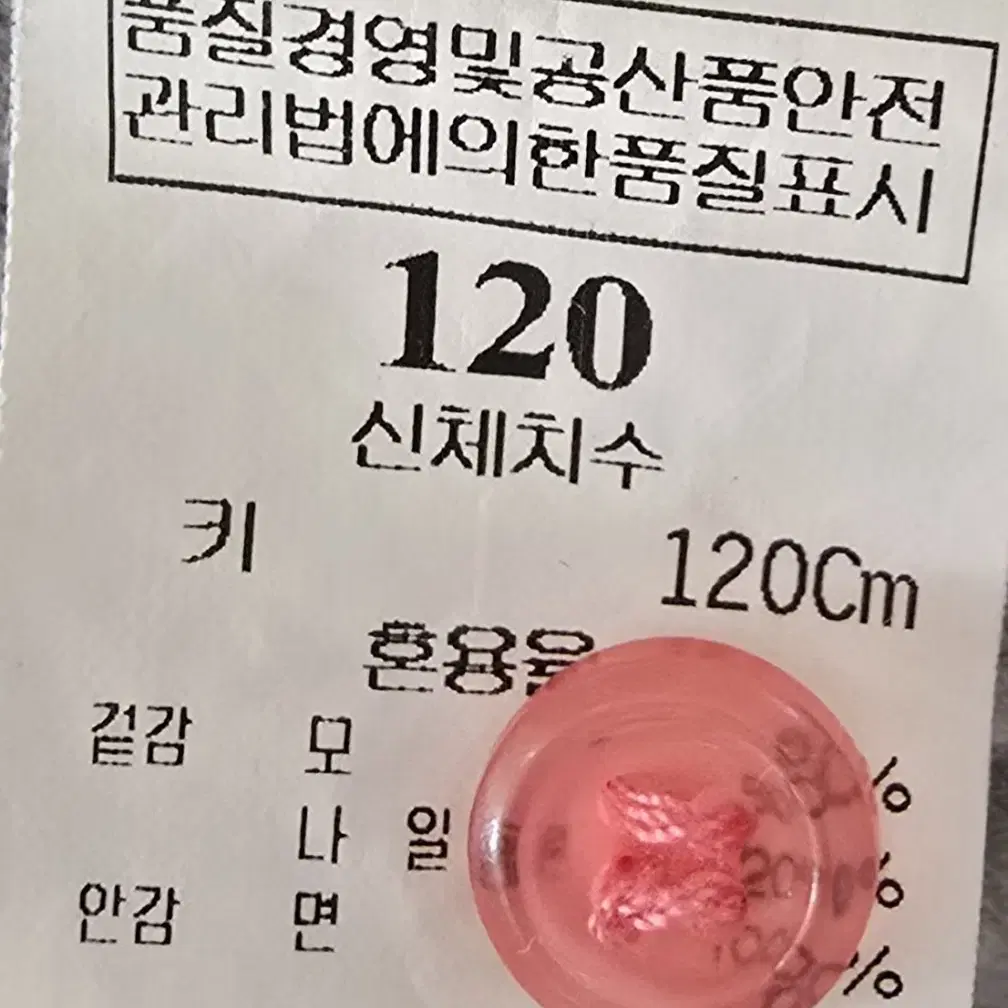 블루독 니트가디건 110