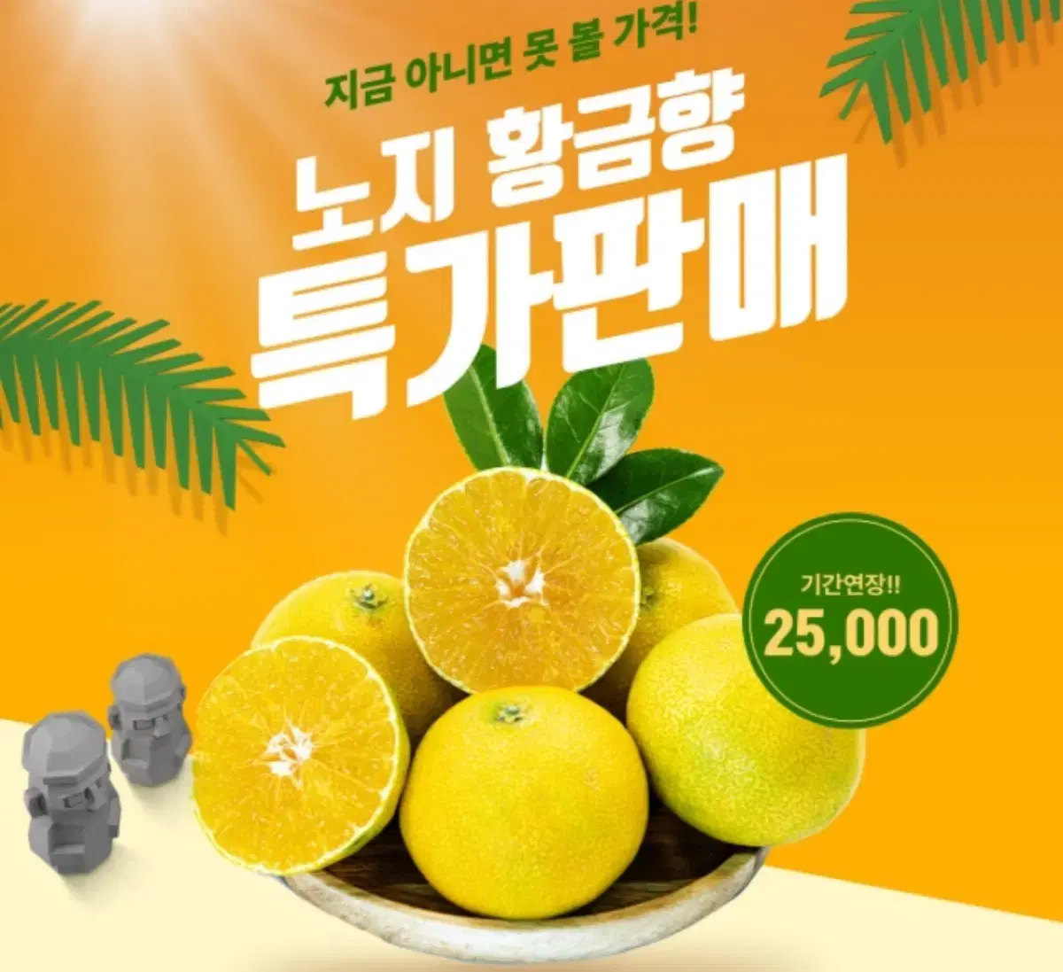 제주도 산지직송 황금향 감귤 팔아요