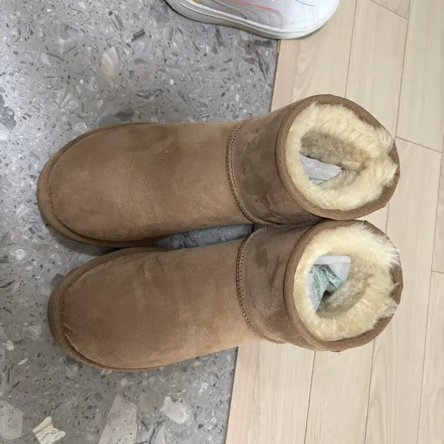 어그 ugg 클래식 미니2 부츠체스트넛