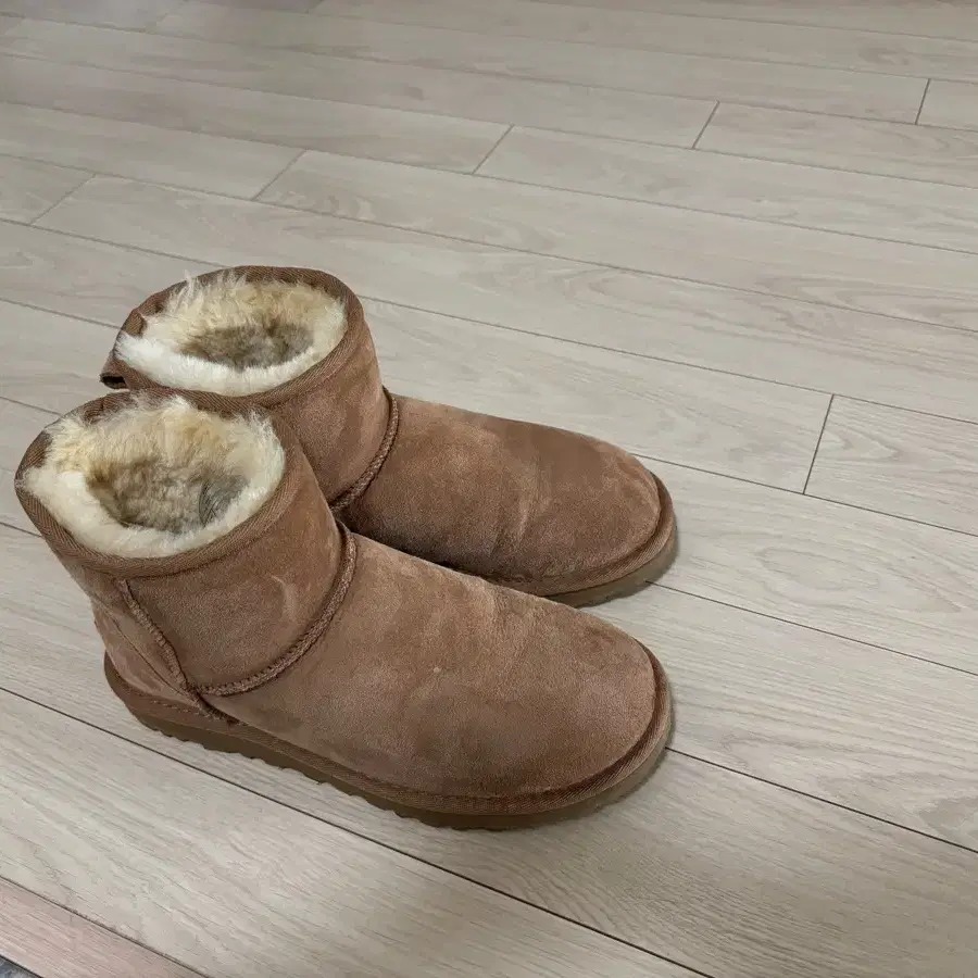 어그 ugg 클래식 미니2 부츠체스트넛