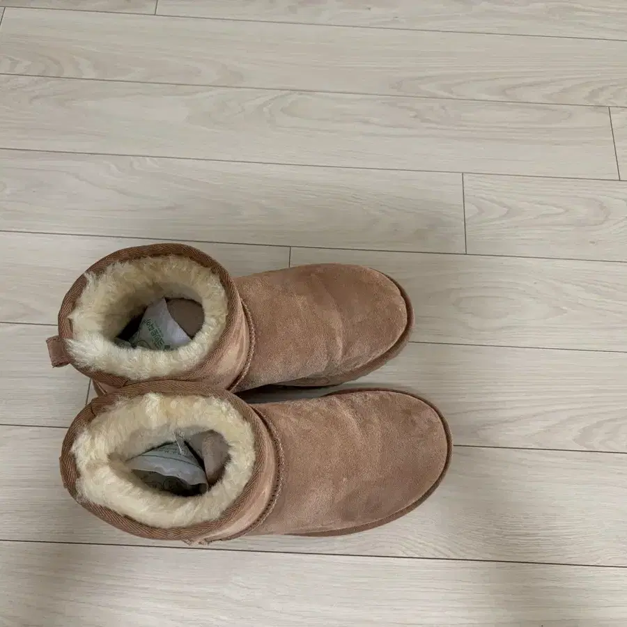 어그 ugg 클래식 미니2 부츠체스트넛