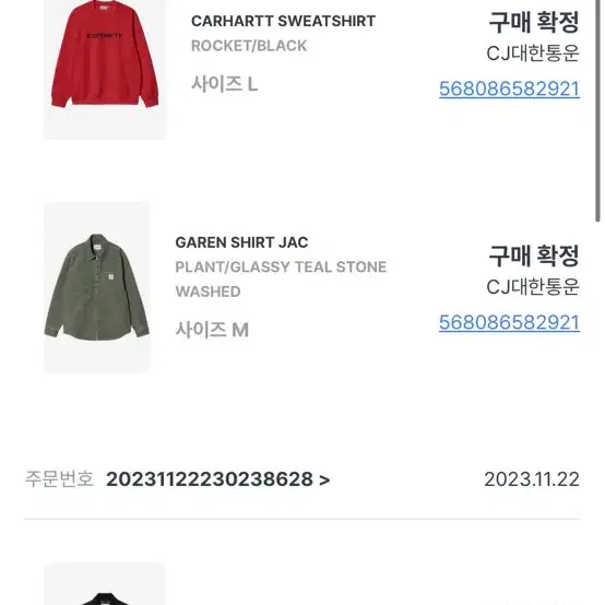 Carhartt GAREN SHIRT JAC