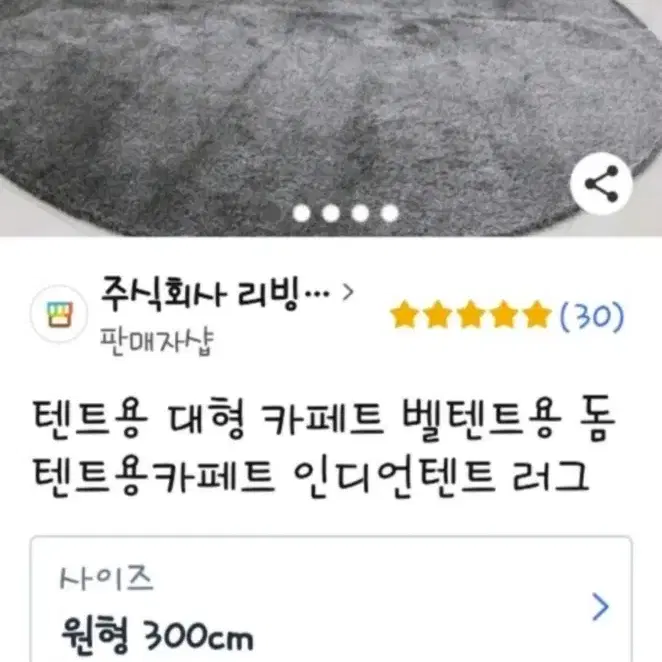 대형 러그 300