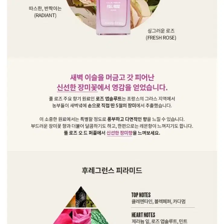 더바디샵 향수 풀 로즈 full rose edp 75ml