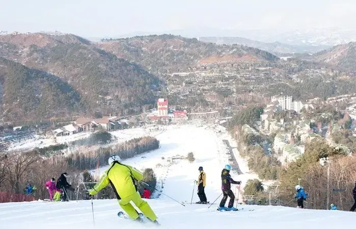 모나용평 주간 리프트 장비렌탈