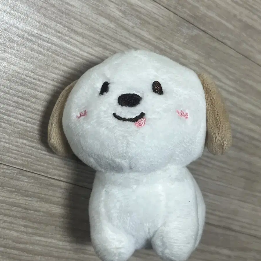 라이즈 앤톤 인형 멍룡이