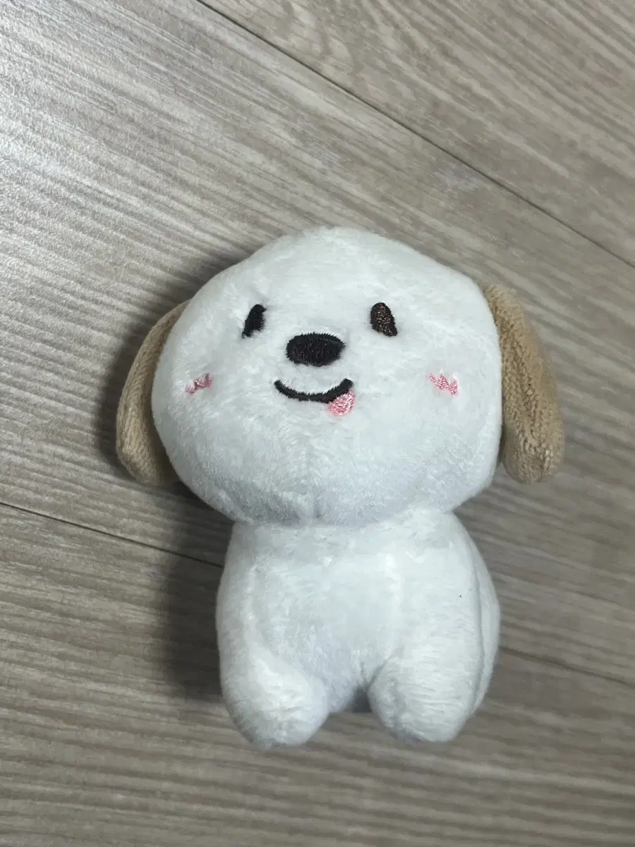 라이즈 앤톤 인형 멍룡이