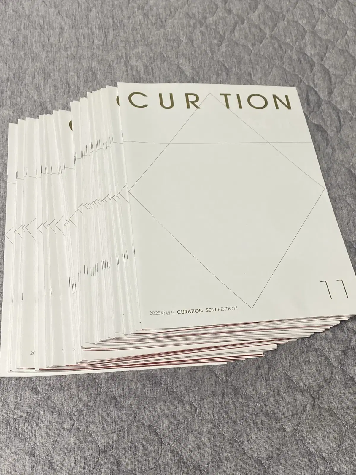 2025 시대인재 국어 일간지 큐레이션 CURATION