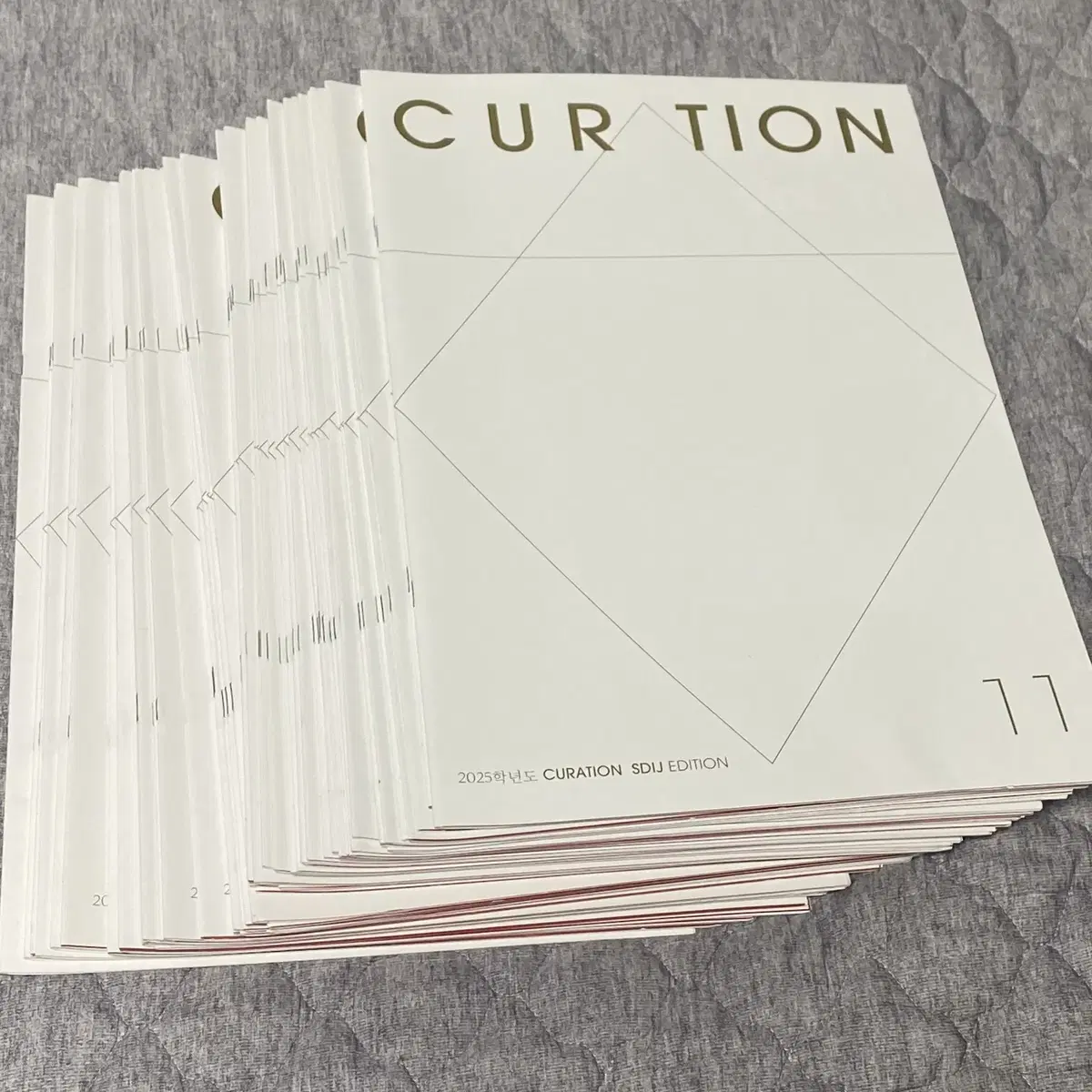 2025 시대인재 국어 일간지 큐레이션 CURATION 55회분