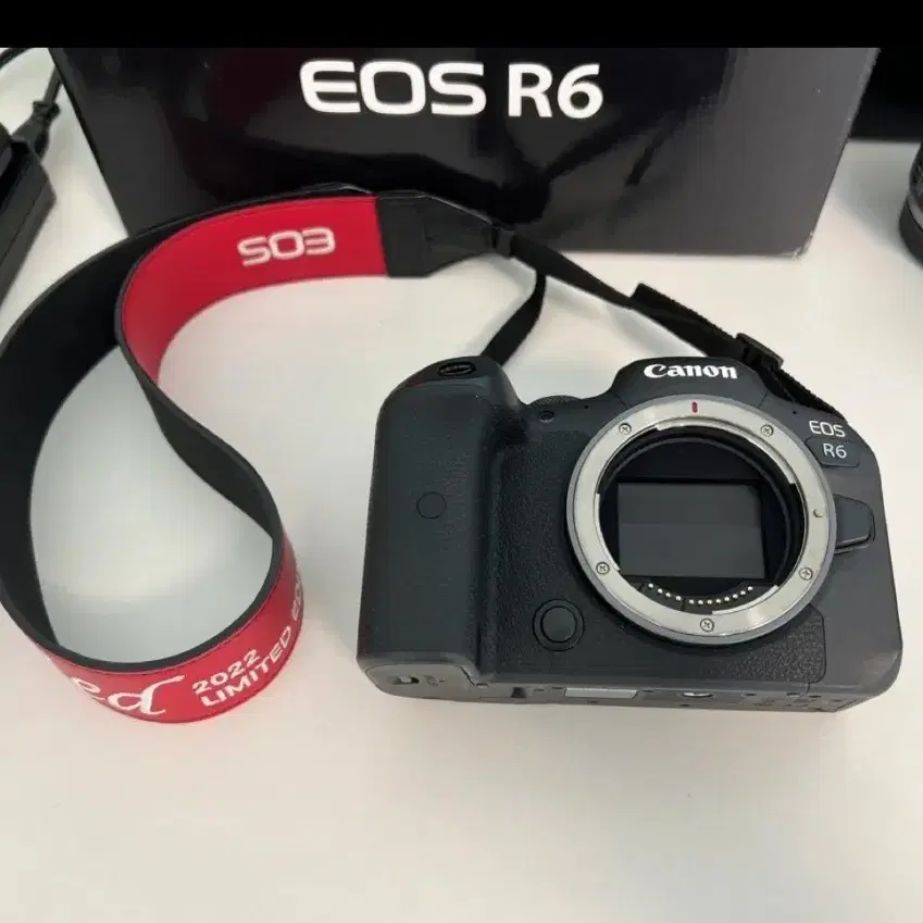 캐논 EOS R6 미러리스 카메라