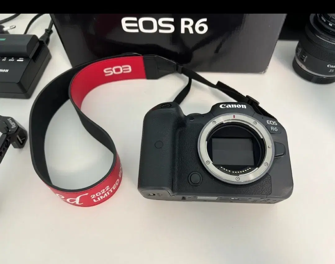 캐논 EOS R6 미러리스 카메라