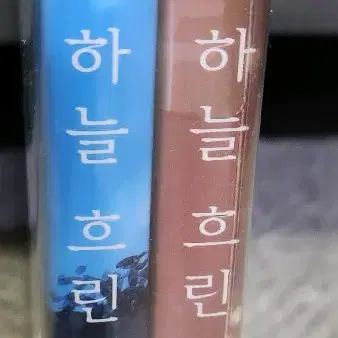 푸른 하늘 흐린 하늘 만화책