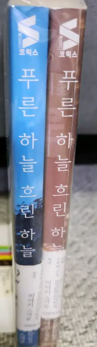 푸른 하늘 흐린 하늘 만화책