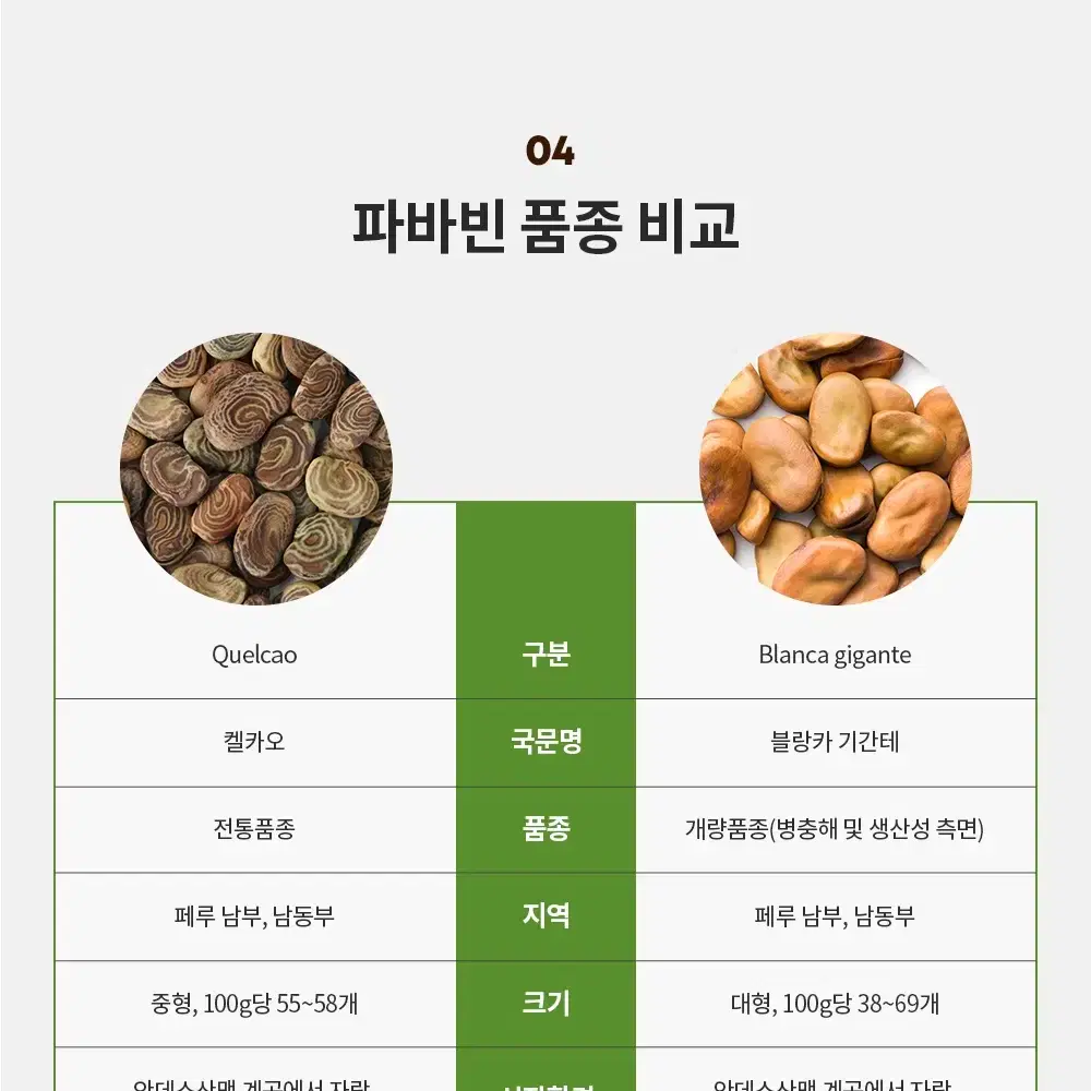 1+1 파바빈 페루산 누에콩 300g 총600g